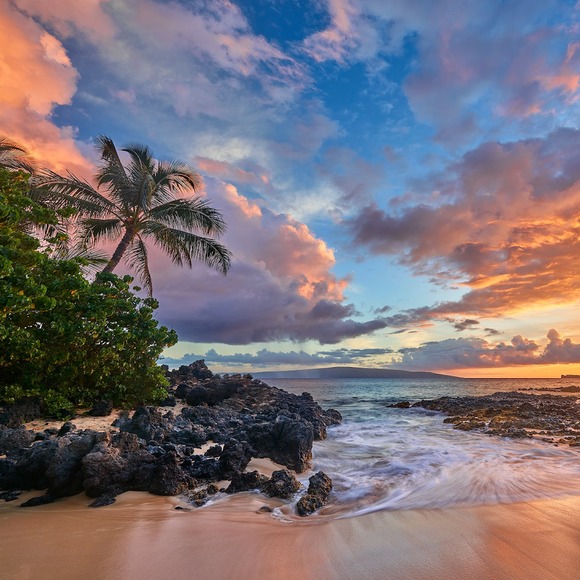 Meet your Posher, Steve - Picture 1 of 1